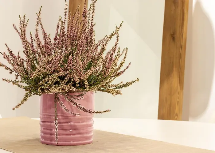 Dimora Del Voltone * Pieve di Cento